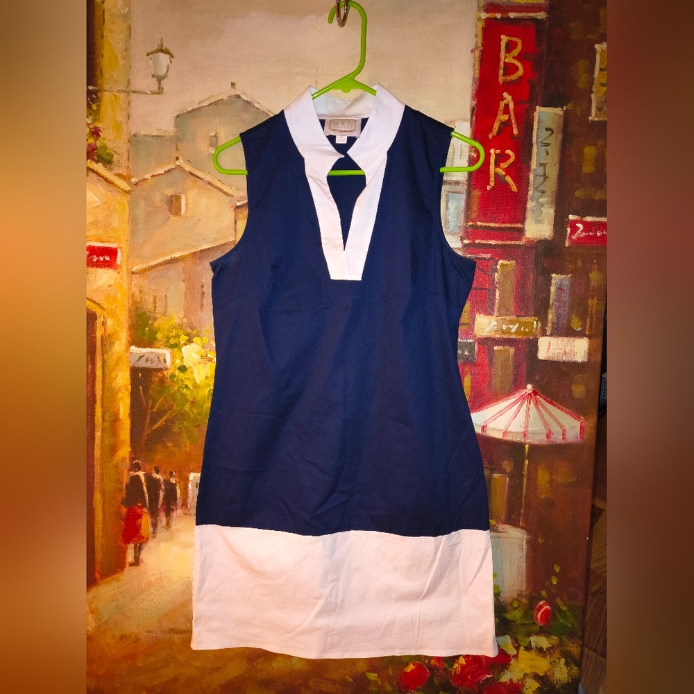 Sail To Sable Dress